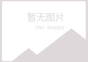 汾阳夏岚化学有限公司